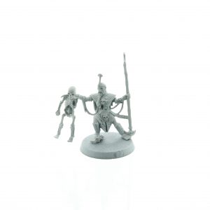 Tomb Kings Lichepriest