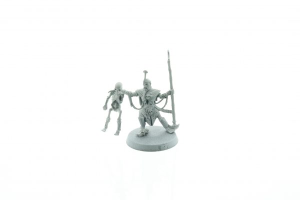 Tomb Kings Lichepriest