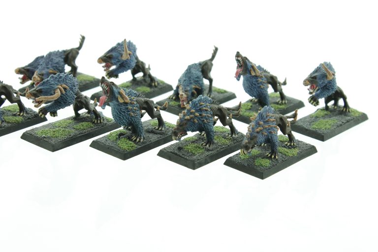 Warhammer Fantasy Warhounds Of Chaos | WHTREASURY