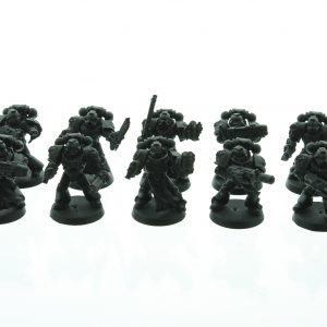 Black Templars Tactical Squad