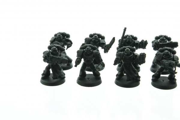 Black Templars Tactical Squad