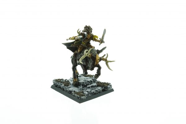 Wood Elf Noble on Stag