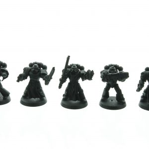 Black Templars Tactical Squad