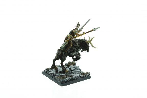 Wood Elf Noble on Stag