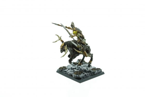 Wood Elf Noble on Stag