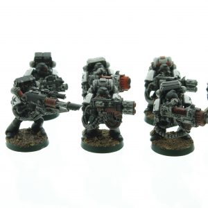 Black Templars Devastator Squad