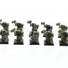 Dwarf Hammerers