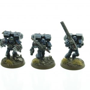 Crimson Fists Assault Squad