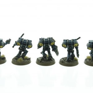 Crimson Fists Assault Squad