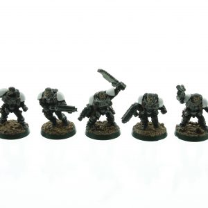 Space Marine Scouts