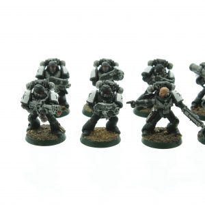 Black Templars Tactical Squad