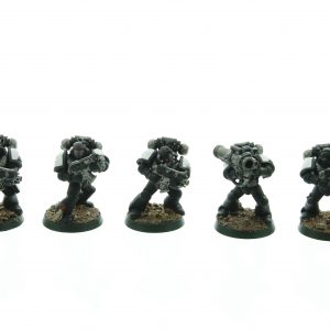 Black Templars Tactical Squad