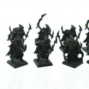 Dark Elf Corsairs