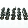 Black Templars Tactical Squad