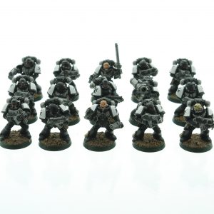 Black Templars Tactical Squad