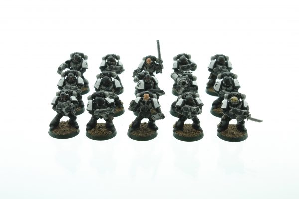 Black Templars Tactical Squad