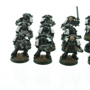 Black Templars Tactical Squad