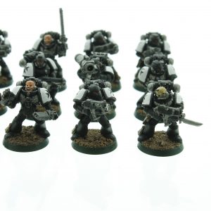 Black Templars Tactical Squad