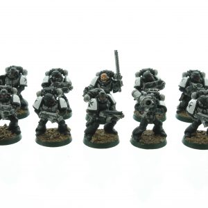 Black Templars Tactical Squad