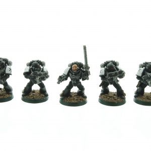 Black Templars Tactical Squad