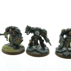 Black Templars Terminator Squad