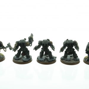 Black Templars Terminator Squad