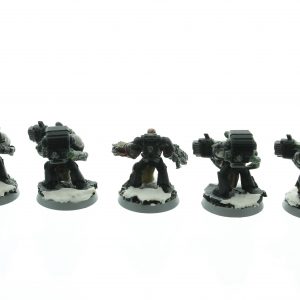 Black Templars Devastator Squad