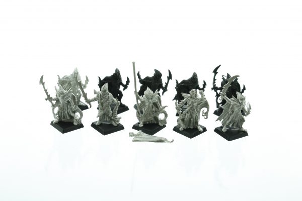 Dark Elves Corsairs