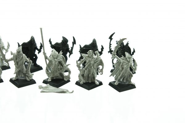 Dark Elves Corsairs