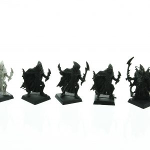 Dark Elves Corsairs