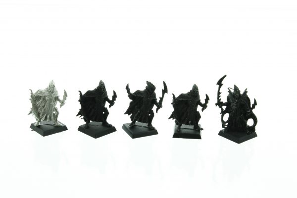 Dark Elves Corsairs