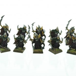 Dark Elves Corsairs