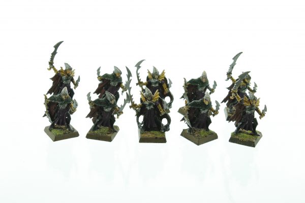 Dark Elves Corsairs