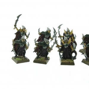 Dark Elves Corsairs