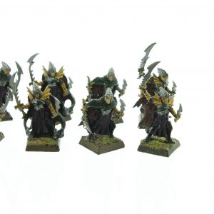 Dark Elves Corsairs