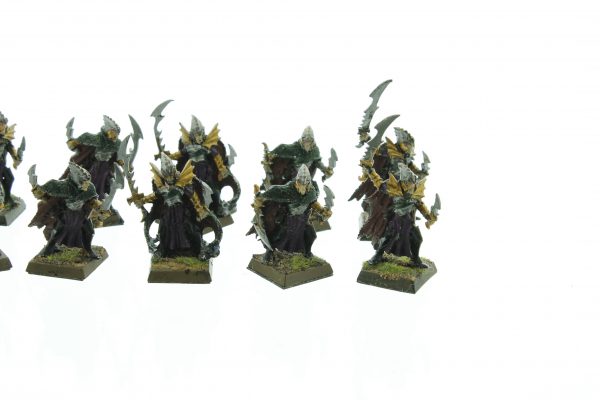 Dark Elves Corsairs