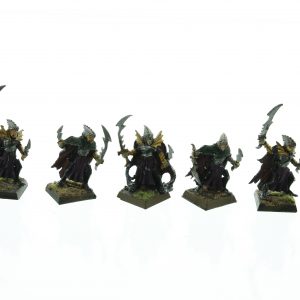 Dark Elves Corsairs