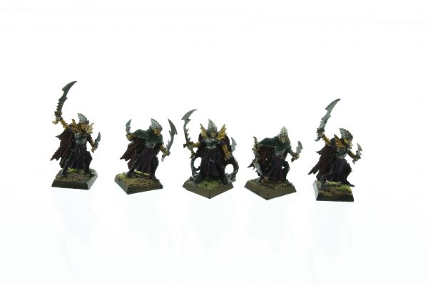 Dark Elves Corsairs