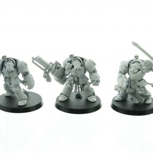 Deathwing Terminators