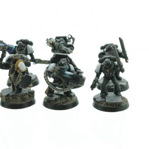 Black Templars Tactical Squad