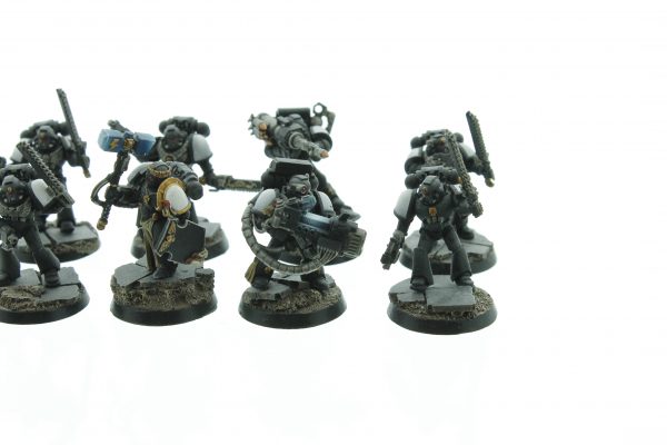 Black Templars Tactical Squad