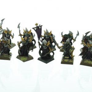 Dark Elves Corsairs