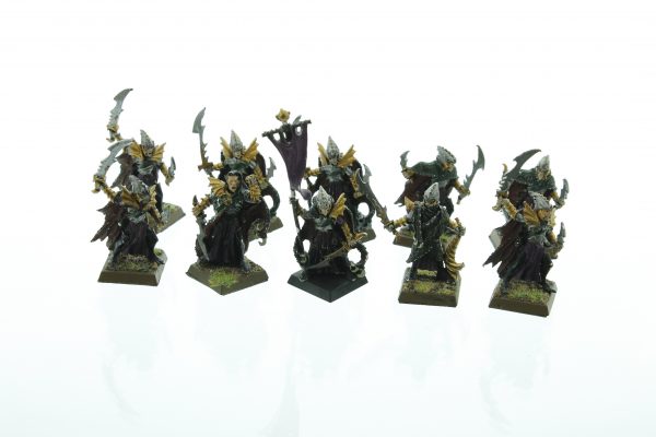 Dark Elves Corsairs