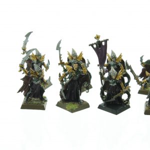 Dark Elves Corsairs