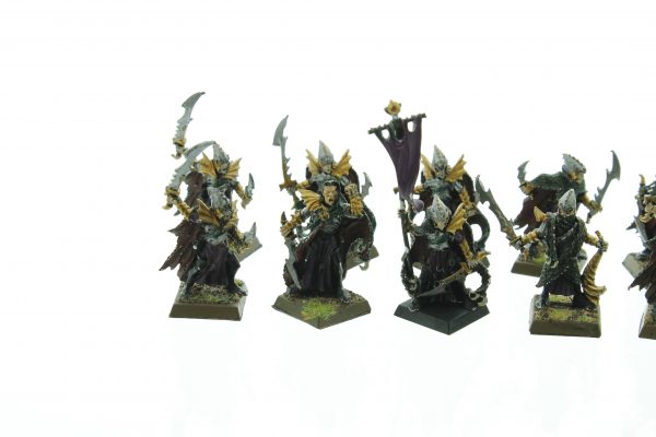 Dark Elves Corsairs