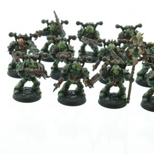 Chaos Nurgle Marines