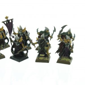 Dark Elves Corsairs