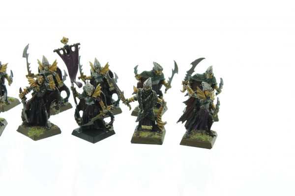 Dark Elves Corsairs