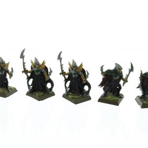 Dark Elves Corsairs