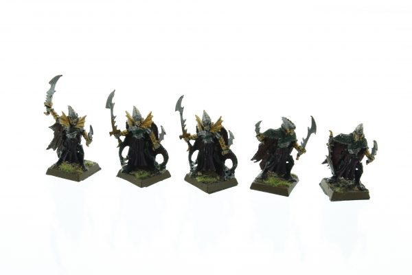 Dark Elves Corsairs